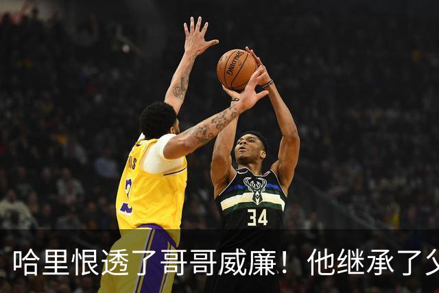哈里恨透了哥哥威廉！他继承了父亲的王位不说，还继承了母亲的脸