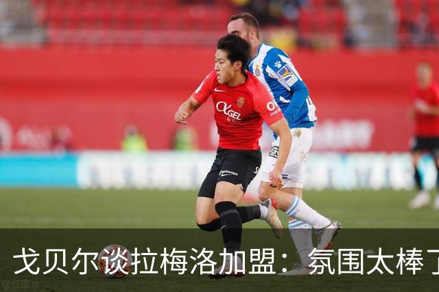 戈贝尔谈拉梅洛加盟：氛围太棒了，我们需要这种快乐